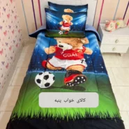 Teddy boy's 3D bedspread.11